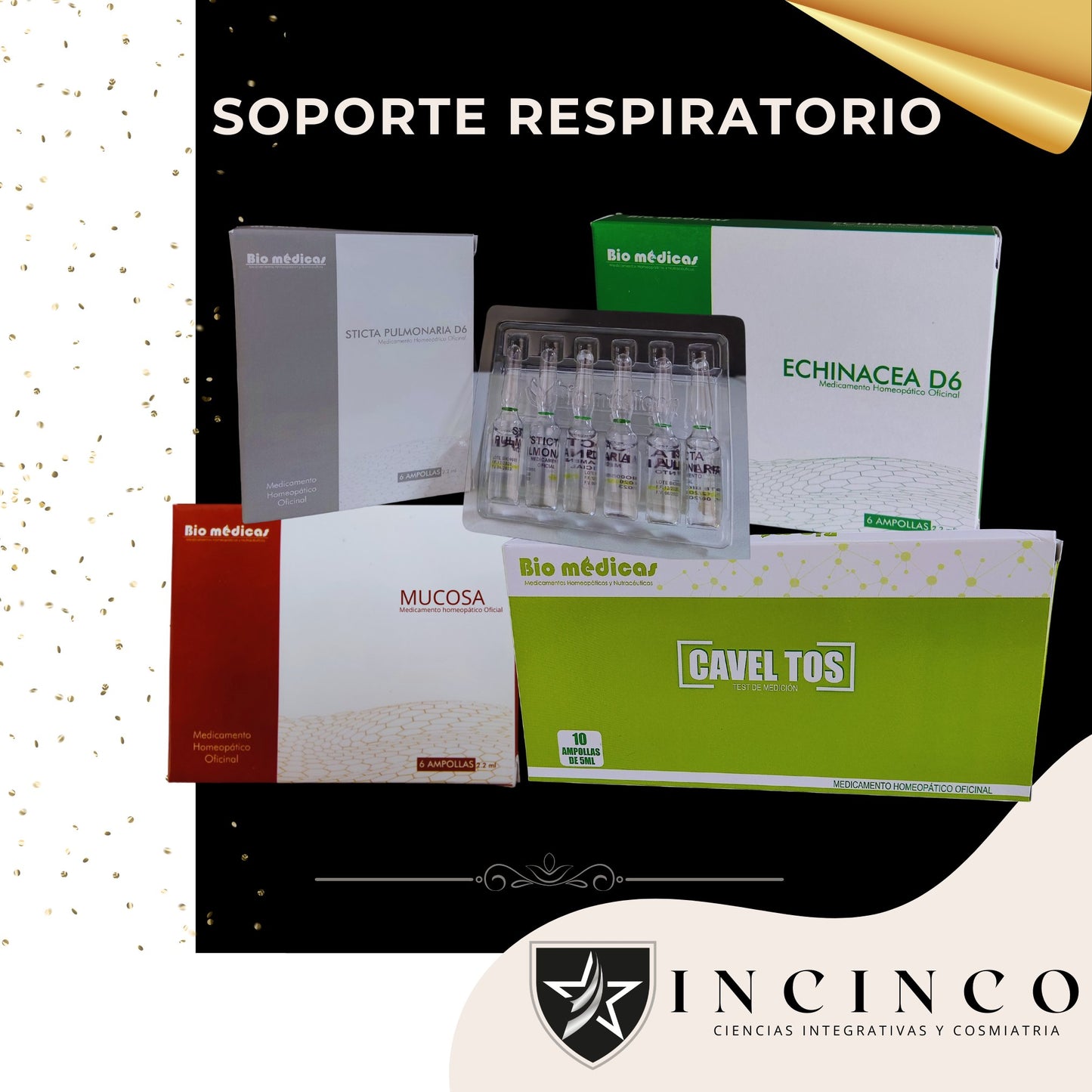 KIT SISTEMA RESPIRATORIO