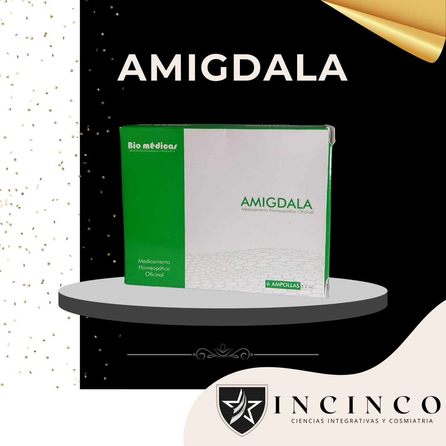 AMIGDALA