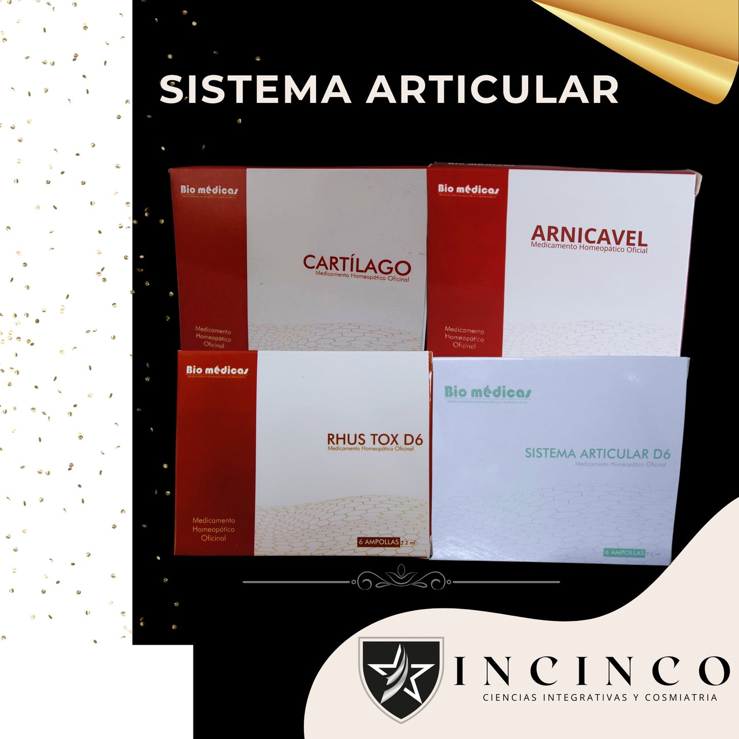 KIT SISTEMA ARTICULAR