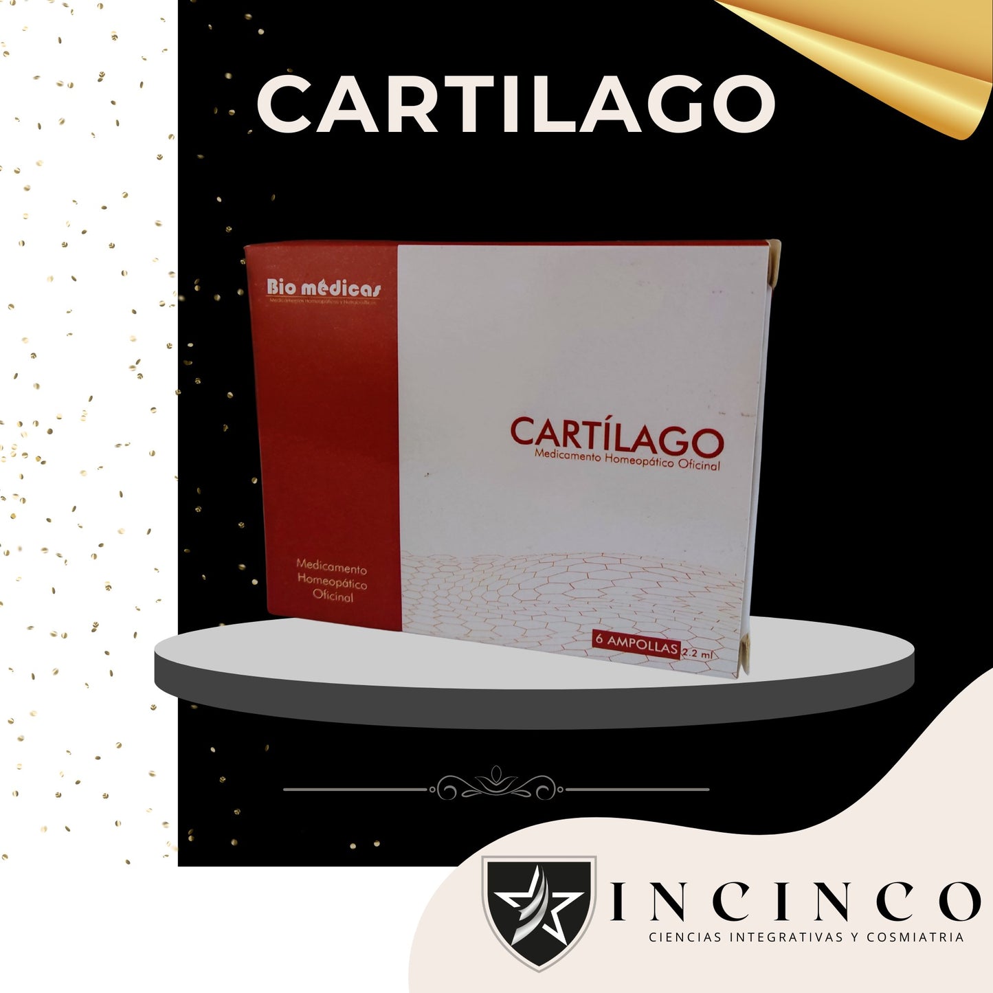CARTILAGO
