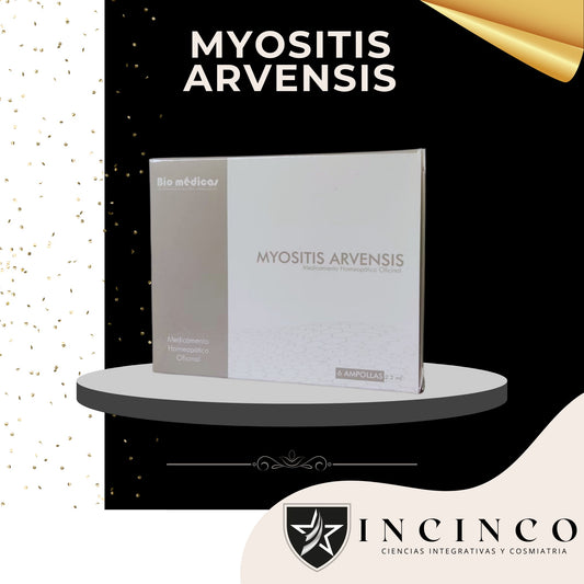 MYOSITIS ARVENSIS