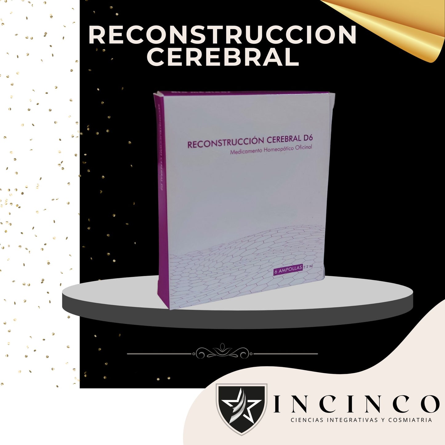 RECONSTRUCCION CEREBRAL
