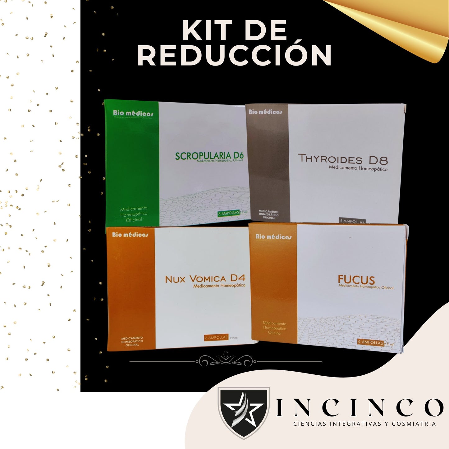 KIT DE REDUCCIÓN