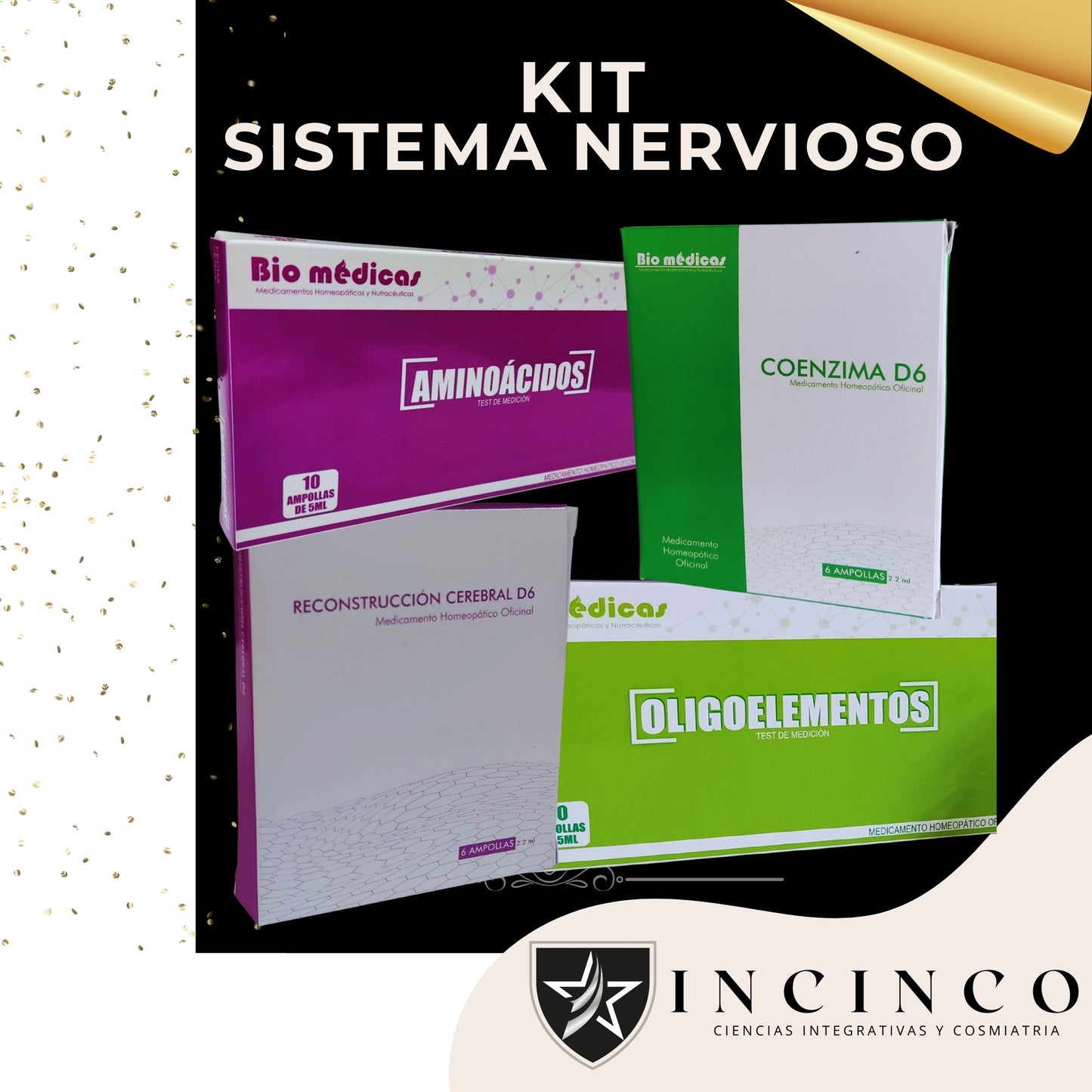 KIT SISTEMA NERVIOSO