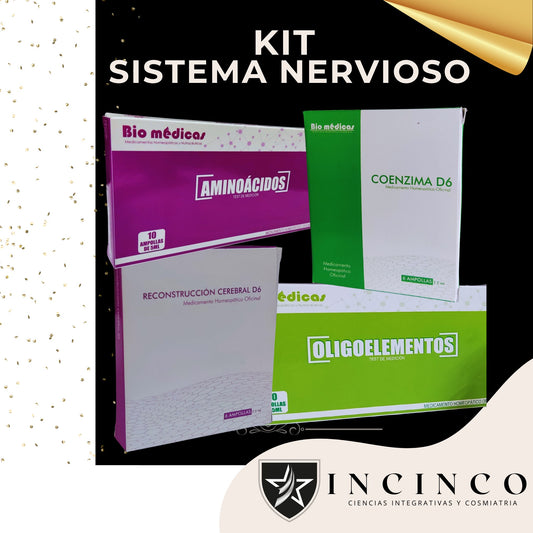 KIT SISTEMA NERVIOSO